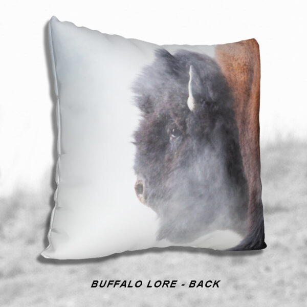 Shop Wyoming BUFFALO LORE ACCENT PILLOW COVER