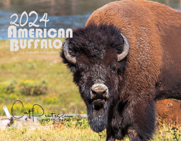 Shop Wyoming 2024 AMERICAN BUFFALO CALENDAR
