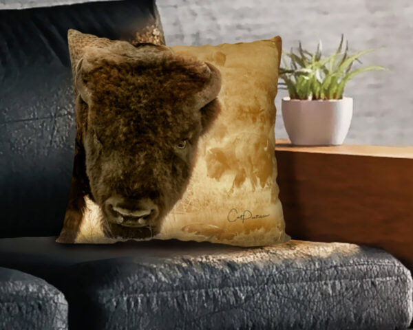 Shop Wyoming OH BUFFALO ACCENT PILLOW COVER