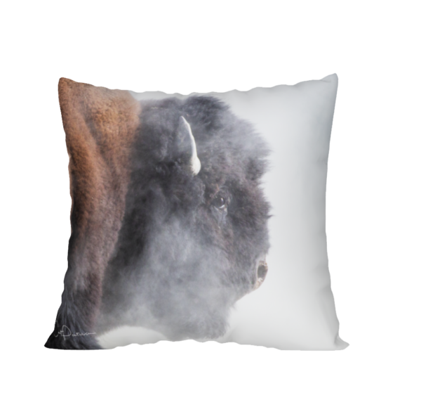 Shop Wyoming BUFFALO LORE ACCENT PILLOW COVER