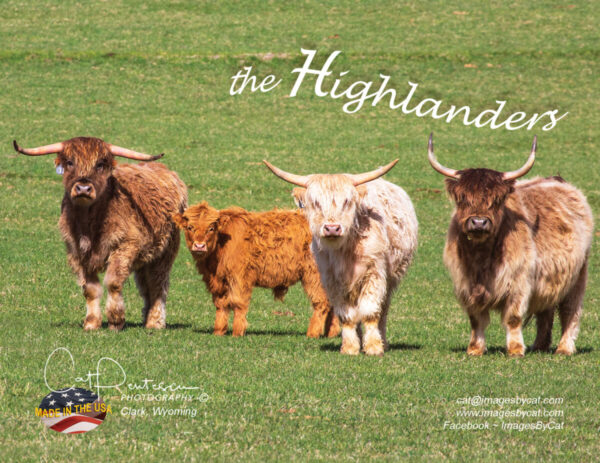 Shop Wyoming Note Cards – THE HIGHLANDERS