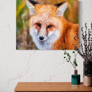 Shop Wyoming FOXY