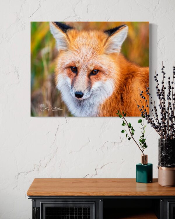 Shop Wyoming FOXY