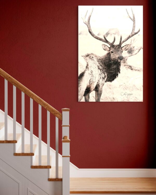 Shop Wyoming WILD WINTER