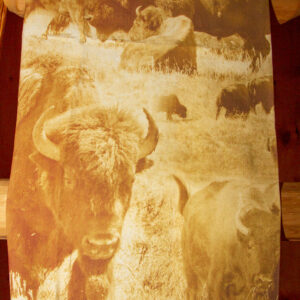 Shop Wyoming BUFFALO MONTAGE FLOUR SACK TOWEL