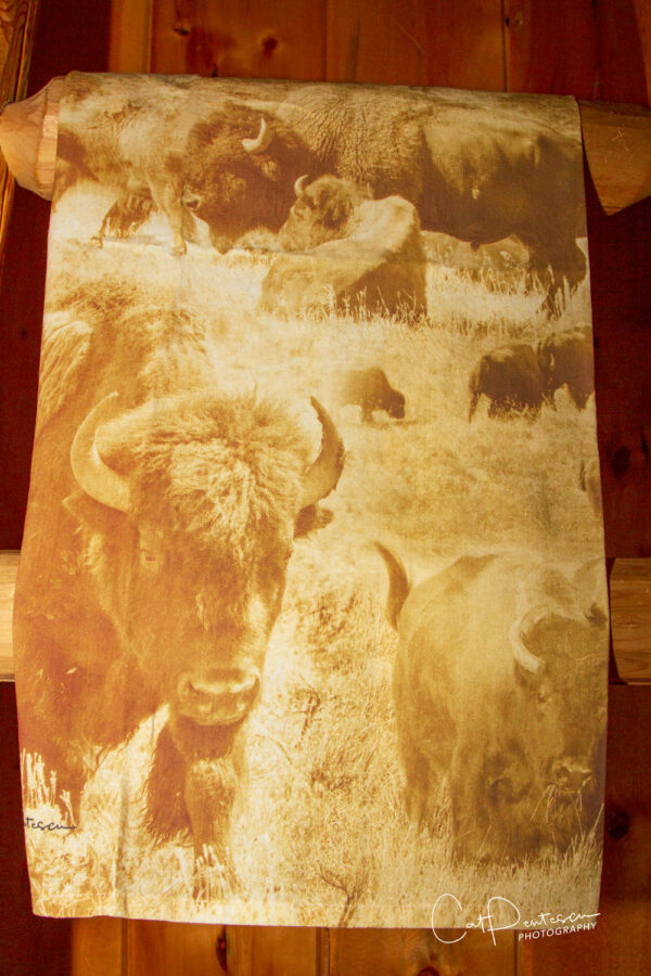 Shop Wyoming BUFFALO MONTAGE FLOUR SACK TOWEL