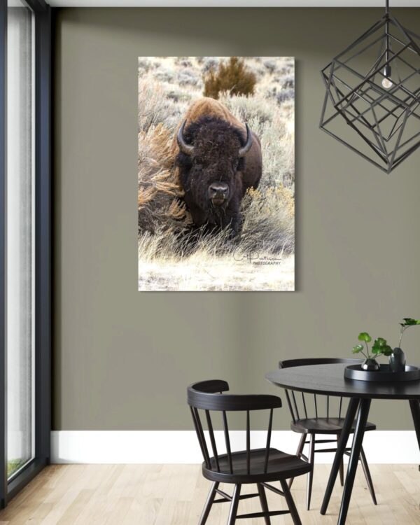 Shop Wyoming OUT OF THE BRUSH