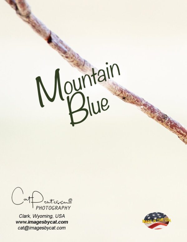 Shop Wyoming Note Cards – MOUNTAIN BLUE