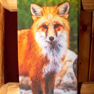 Shop Wyoming NEW! FOXY LADY FLOUR SACK TOWEL