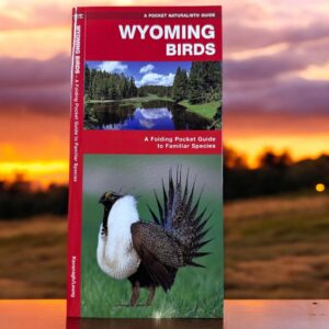 Shop Wyoming Wyoming Birds Pocket Book Guide