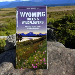 Shop Wyoming Wyoming Trees and Wildflowers Folding Pocket Guide