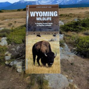 Shop Wyoming Wyoming Wildlife Pocket Guide