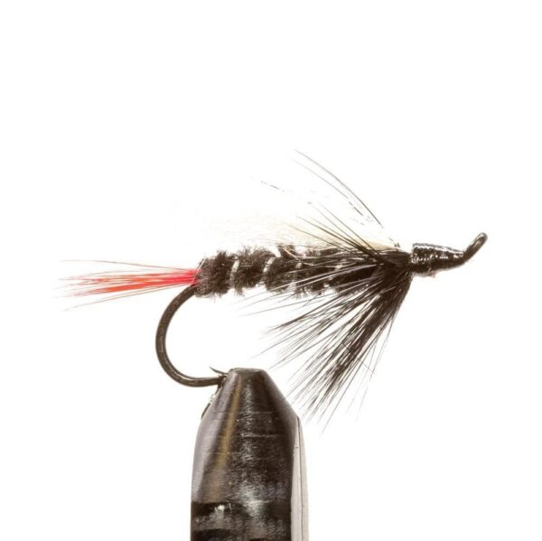 Shop Wyoming JHFLYCO Loaded Foam Fly Box – Salmon Fly Assortment