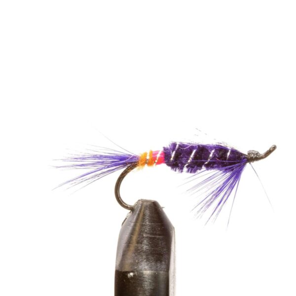 Shop Wyoming JHFLYCO Loaded Foam Fly Box – Salmon Fly Assortment