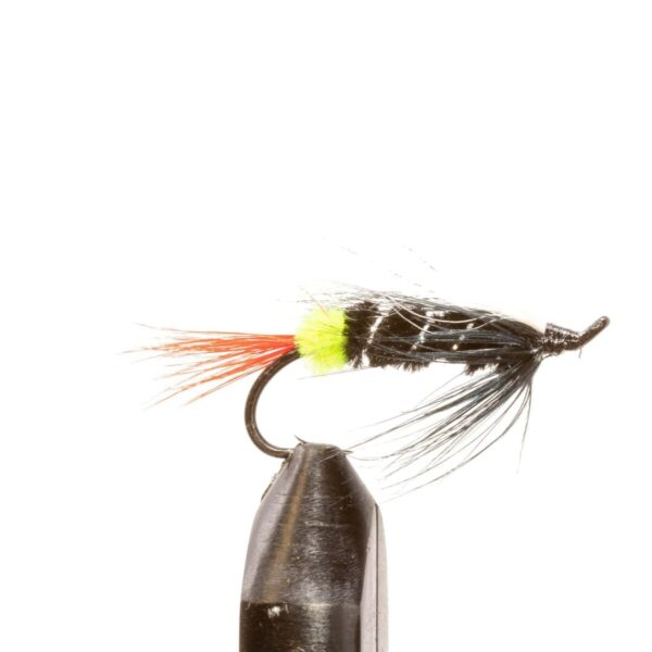 Shop Wyoming JHFLYCO Loaded Foam Fly Box – Salmon Fly Assortment