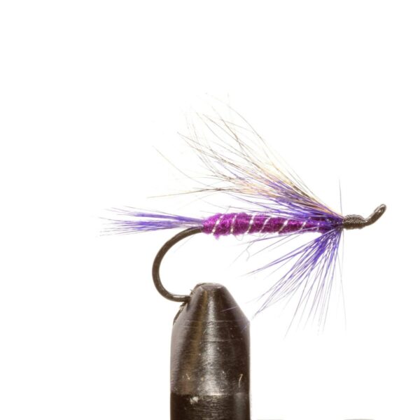 Shop Wyoming JHFLYCO Loaded Foam Fly Box – Salmon Fly Assortment