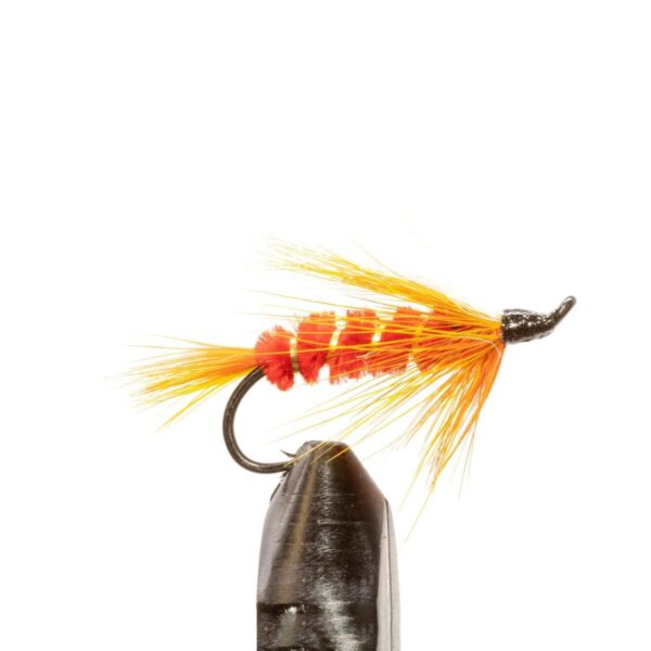 Shop Wyoming JHFLYCO Loaded Foam Fly Box – Salmon Fly Assortment