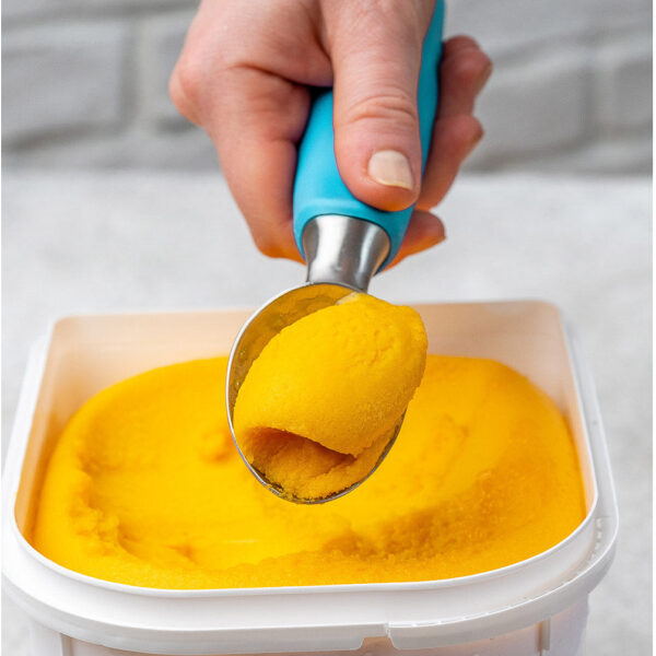 Shop Wyoming Stainless Steel Ice Cream Scoop – Professional Ice Scooper