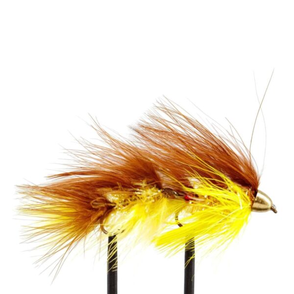 Shop Wyoming JHFLYCO Loaded Foam Fly Box – Large Streamer Assortment