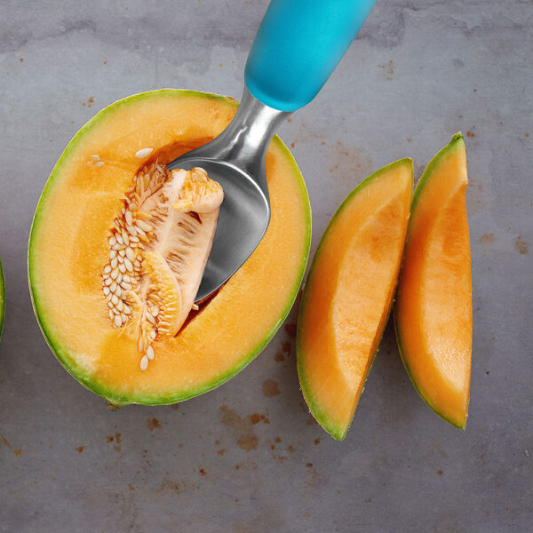 Shop Wyoming Stainless Steel Ice Cream Scoop – Professional Ice Scooper