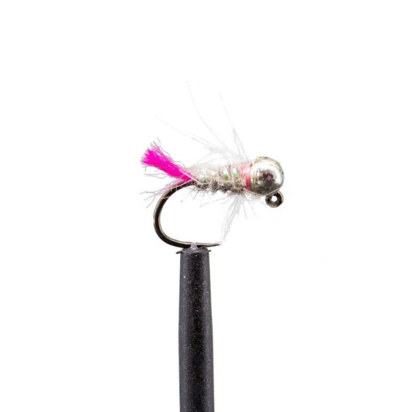 Shop Wyoming JHFLYCO Loaded Foam Fly Box – Euro Nymph Assortment