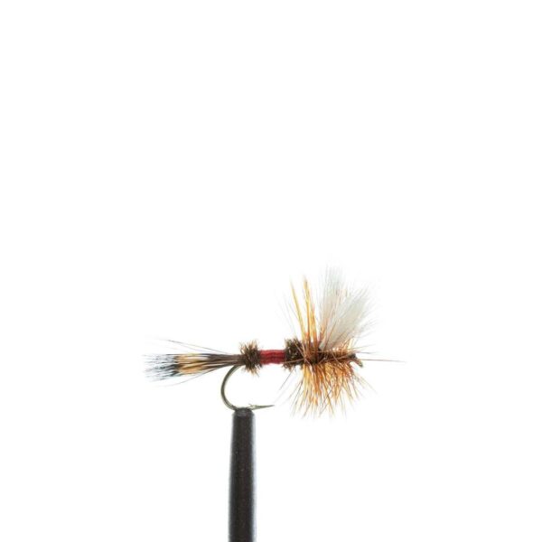 Shop Wyoming JHFLYCO Loaded Foam Fly Box – Standard Dry Fly Assortment