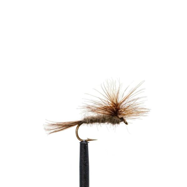 Shop Wyoming JHFLYCO Loaded Foam Fly Box – Standard Dry Fly Assortment
