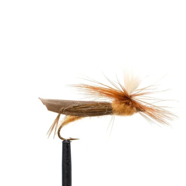 Shop Wyoming JHFLYCO Loaded Foam Fly Box – Standard Dry Fly Assortment