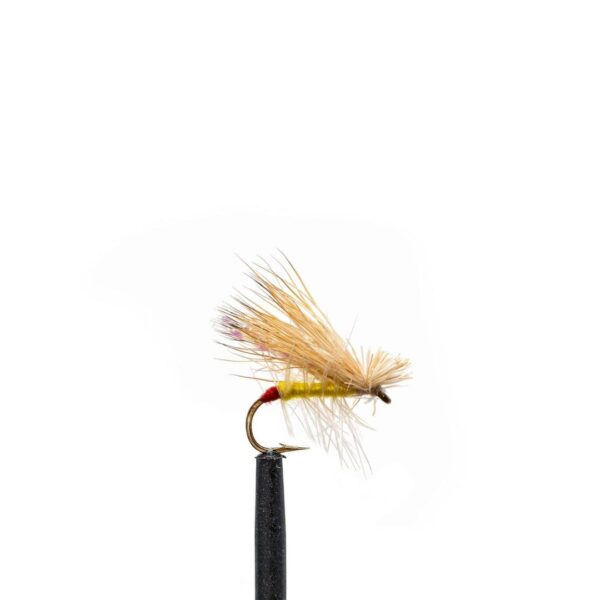 Shop Wyoming JHFLYCO Loaded Foam Fly Box – Standard Dry Fly Assortment