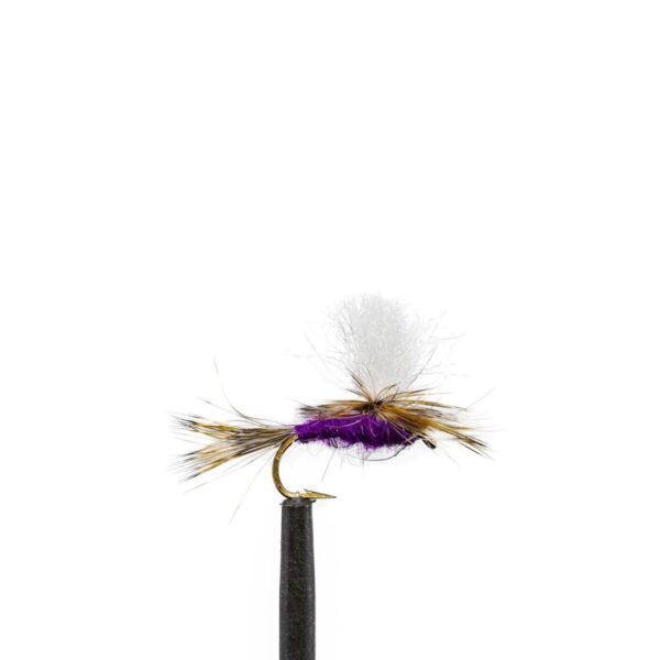 Shop Wyoming JHFLYCO Loaded Foam Fly Box – Standard Dry Fly Assortment