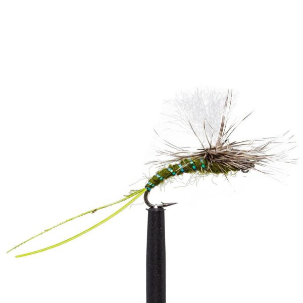 Shop Wyoming JHFLYCO Loaded Foam Fly Box – Standard Dry Fly Assortment