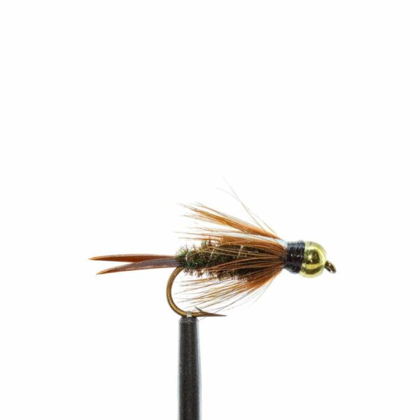 Shop Wyoming JHFLYCO Loaded Foam Fly Box – Standard Nymph Assortment