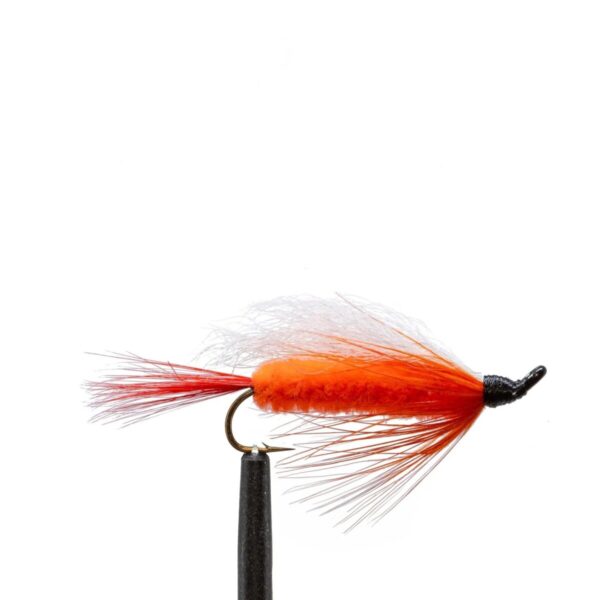 Shop Wyoming JHFLYCO Loaded Foam Fly Box – Salmon Fly Assortment