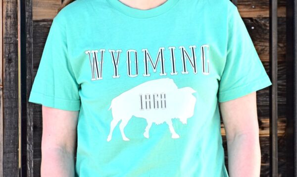Shop Wyoming Wyoming 1868 Hoodien or T-shirt in Mint