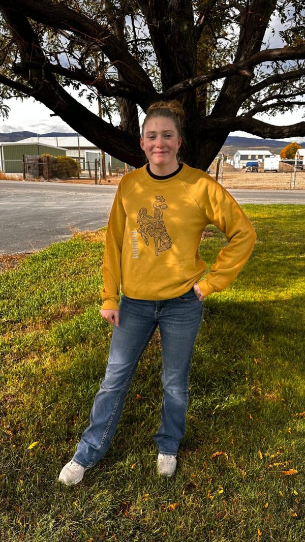 Shop Wyoming Wyoming Bucking horse on gold long sleeves or crewneck