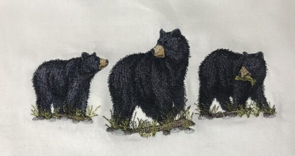 Shop Wyoming Three Bears Dish Towel
