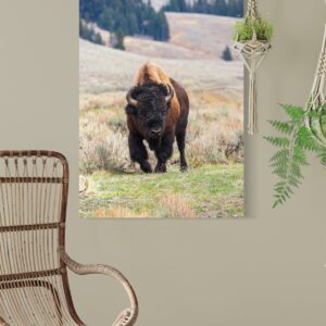Shop Wyoming POWERFUL PRESENCE