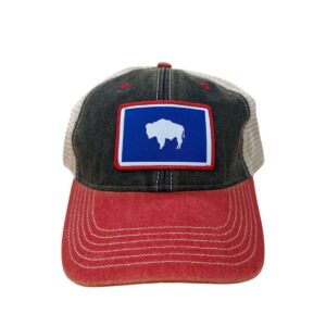 Shop Wyoming Wyoming Legacy Hat