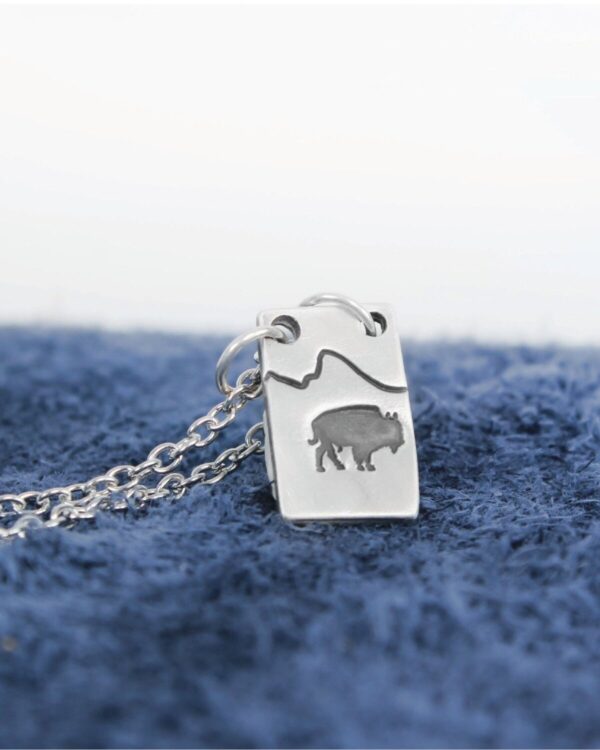 Shop Wyoming Bison Necklace with Mountain