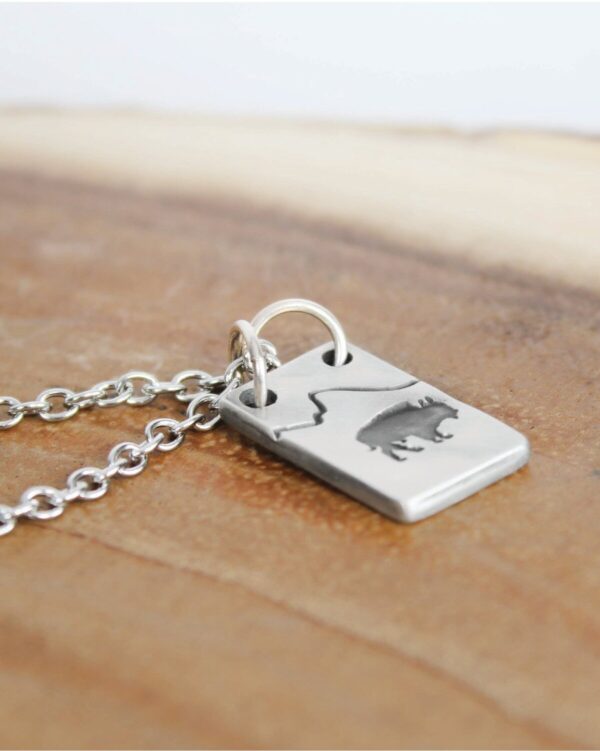 Shop Wyoming Bison Necklace with Mountain