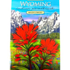 Shop Wyoming Wyoming Indian Paintbrush Seeds