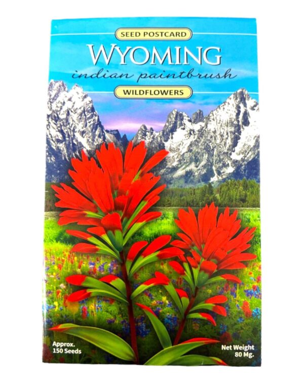 Shop Wyoming Wyoming Indian Paintbrush Seeds