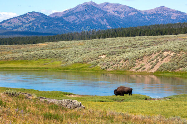 Shop Wyoming BY THE LAKE