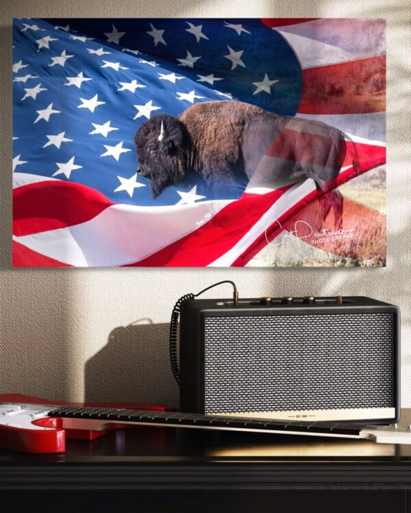 Shop Wyoming AMERICAN
