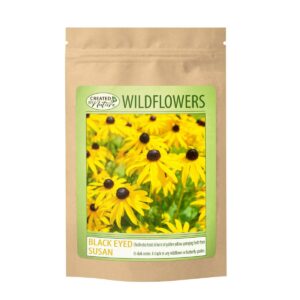 Shop Wyoming Black Eyed Susan Wildflower Seeds