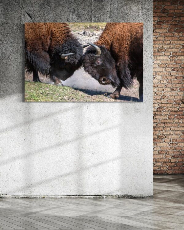 Shop Wyoming HEAD TO HEAD