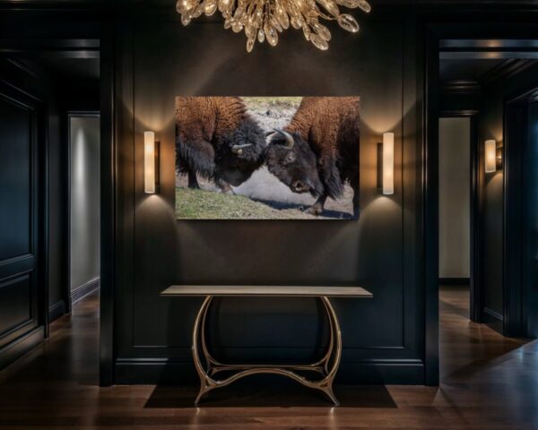 Shop Wyoming HEAD TO HEAD