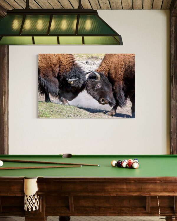 Shop Wyoming HEAD TO HEAD