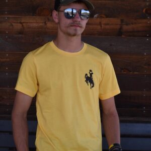 Shop Wyoming Wyoming Flag T-shirt Gold and Brown