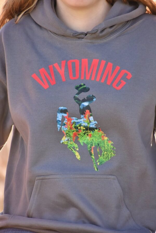 Shop Wyoming Wyoming Indian Paint Brush Hoodie